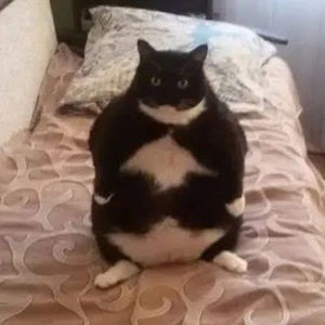 Meet your Posher, Valeria